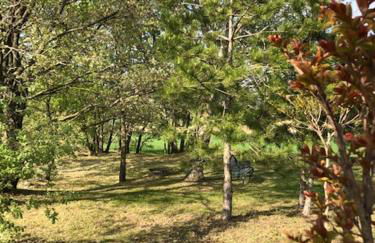 Mas de JANNE - Foto 17