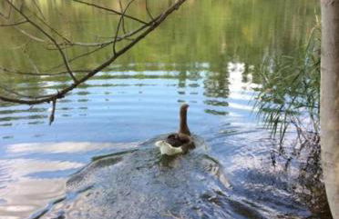 The house in nature SKG - Foto 27