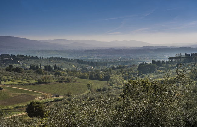 Fattoria di Maiano - Foto 58