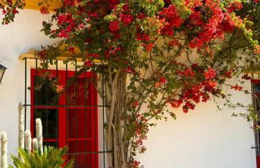 Hacienda Don Rodrigo - Foto 7