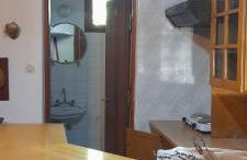 Γοργονα - Foto 8