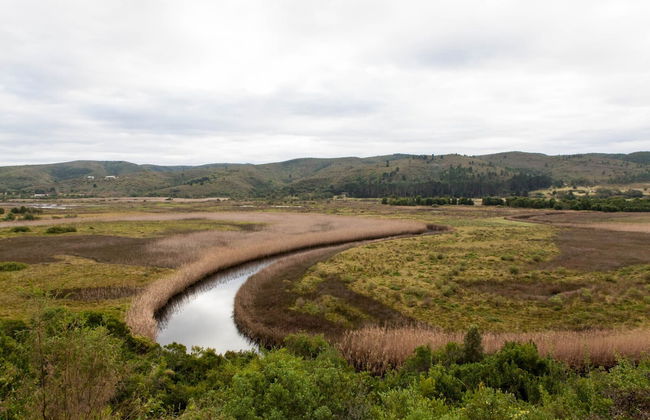 Emily Moon River Lodge - Foto 75