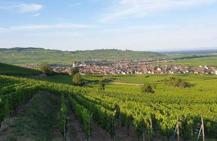 Gîte des Seigneurs 2 - Foto 2