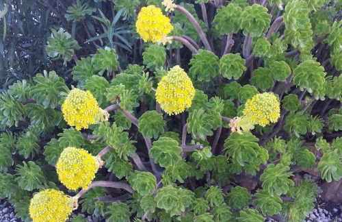 Stunning Villa Felipe, with private pool & hot tub - Foto 38