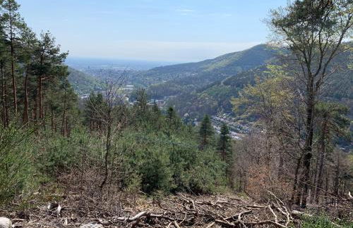 Dicker Stein - Foto 40