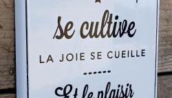 Appartement - Photo 1