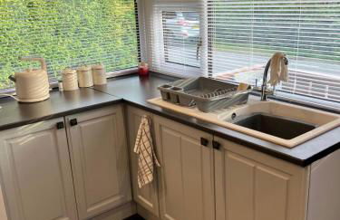 Snowdonia luxury log cabin - Foto 8