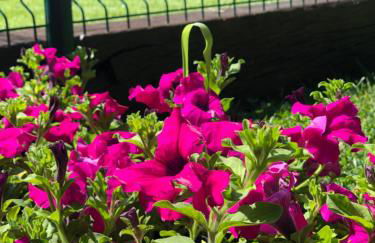 Casa rural en plena naturaleza Lic UVTR1524 - Photo 28