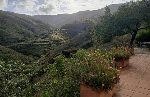 Cortijo Vacas Gordas Villas - Foto 2