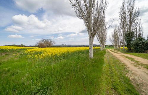 Masia Marco Grupos Grandes Piscina Barbacoa Aire Acondicionado - Photo 33