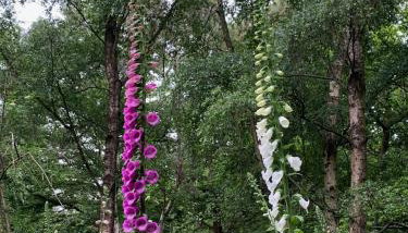 Private Apartment at Woodland Retreat - Foto 4