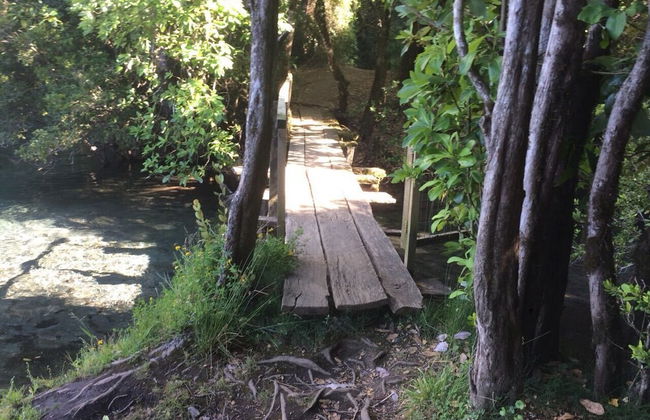 Cabin Chalet Type in Pucon - Photo 14