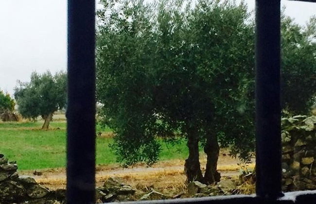 Rural Pedroches Casa Los Mineros - Foto 48