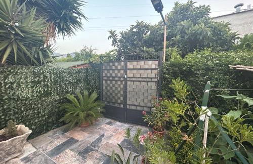 Aromi di Sicilia Casa Vacanze - Foto 15