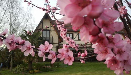 Los Arces - Foto 1, Garden