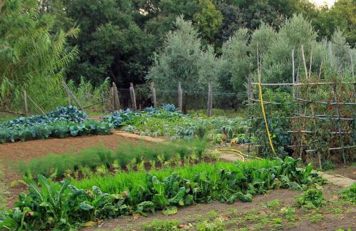 Agriturismo Locanda Pantanello - Foto 27