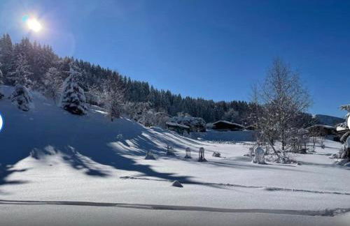 Superbe Chalet à Megève 7 pers Près des Pistes - Foto 5