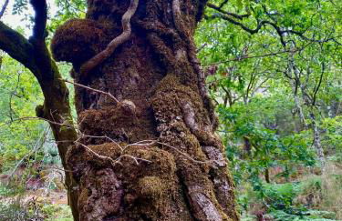 Casa de Jonathan - Foto 26