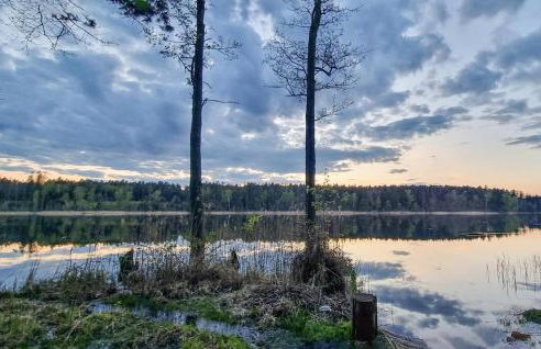 1 Bedroom Pet Friendly Home In Rekowo - Foto 10