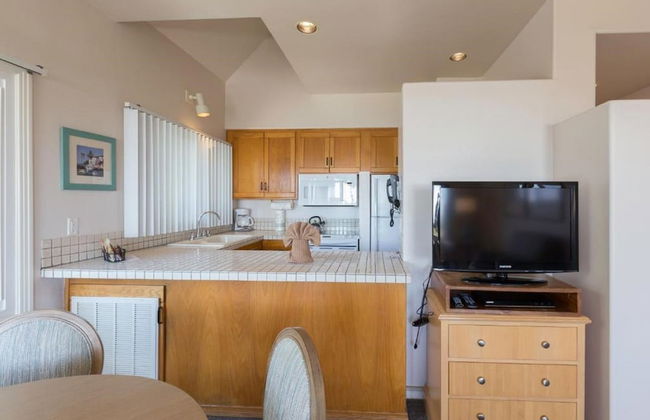 Wave Crest at Del Mar - Photo 4