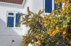 The Lantern - Foto 1