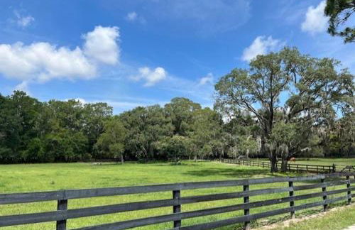 Double D Ranch - Foto 8