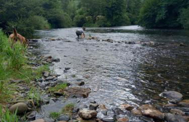 Sur les Rives du Haut Allier - Foto 28