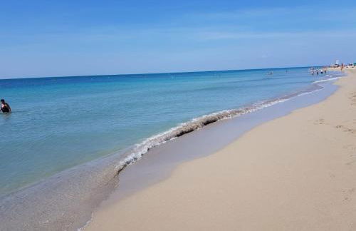 Masseria Tenuta Specolizzi - Foto 93