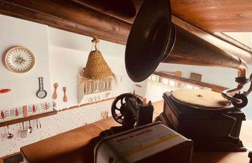 La Apañaora - Foto 10