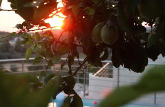 The View Villa - Foto 49