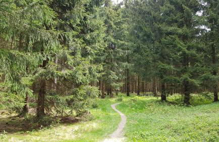 Ferienhaus Victoria - Foto 72