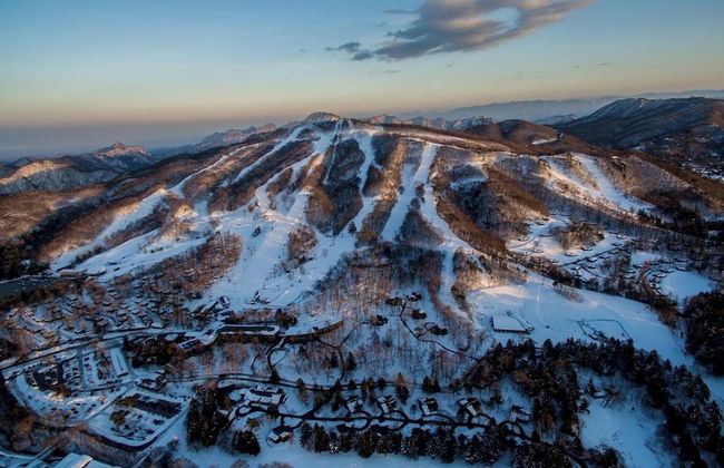 The Prince Villa Karuizawa - Foto 50