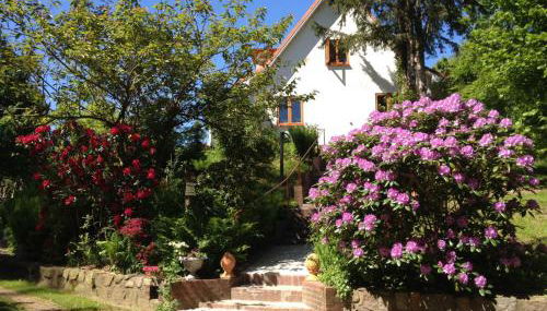 Hale Aloha - Foto 5, Garden, Garden view