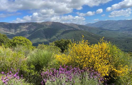 Casa Sierra de Gata - Apartamento Rural - Foto 16