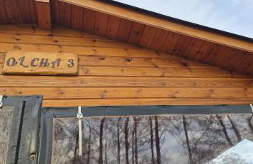 Domki Pod Olchowym Dachem Lubie - Foto 2