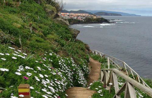 Esperança House 2 - Photo 27