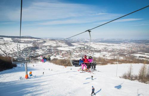 Domki Leśne Zacisze - Foto 39