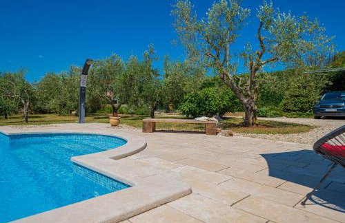 Villa Benka, Istrian stone house - Foto 96