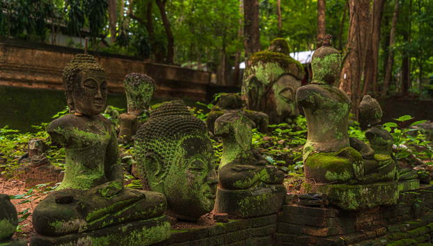 Tour por Doi Suthep al atardecer - Foto 3