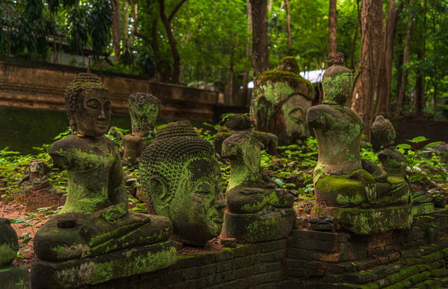 Tour por Doi Suthep al atardecer - Foto 3