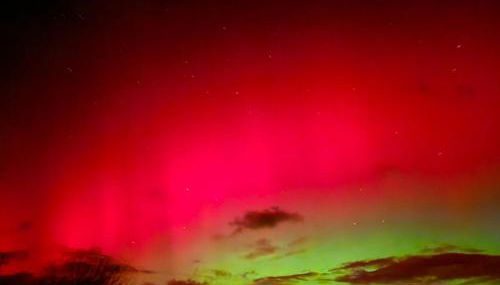 Galloway Forest Holiday Park - Foto 2