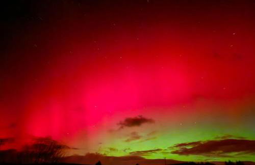 Galloway Forest Holiday Park - Photo 2