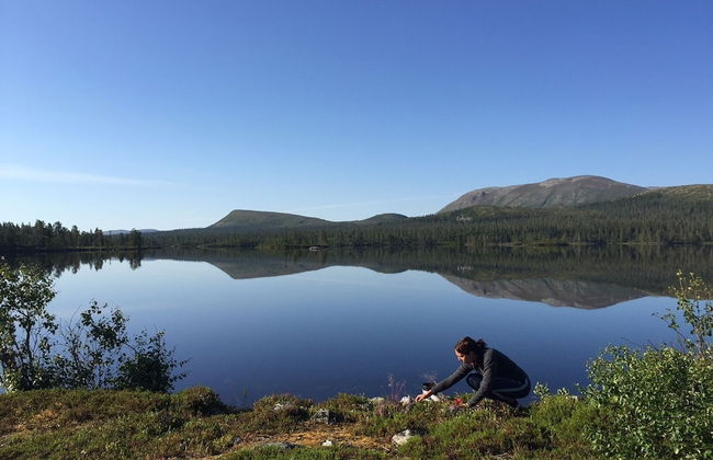 Holiday Home Fjätervålen Fjätstigen - Foto 10