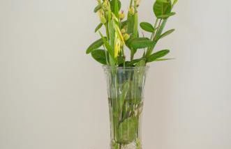 Incrível casa com piscina em Sanzé - Maragogi-AL - Foto 56