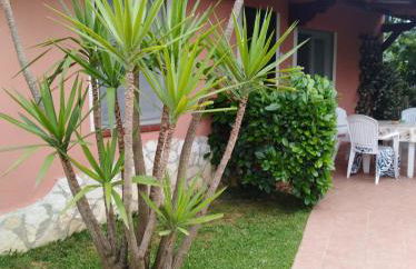 Casa Vacanze Mimose - Foto 22