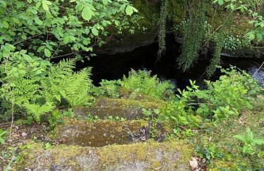 Tig Cottage - a rural, quirky, pet friendly 2 bedroom cottage near Ballantrae - Foto 39