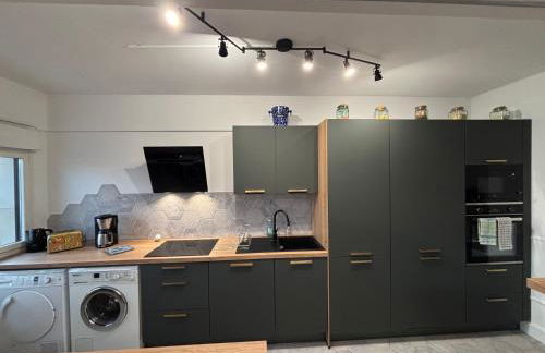 BedinReims elegant green bottle quiet and close to center free parking and wifi free ideal 5 à 9 Adultes - Foto 10