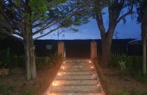 Paredejas del Rey - Foto 29