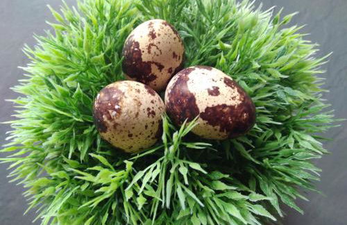 Ferienwohnung Colin im schönen Weserbergland Nähe Freizeitpark - Foto 11