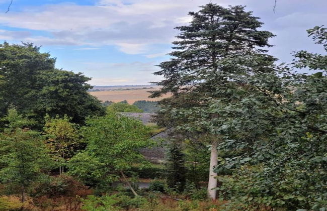 Holiday Home Moselle With Private Sauna - Photo 34